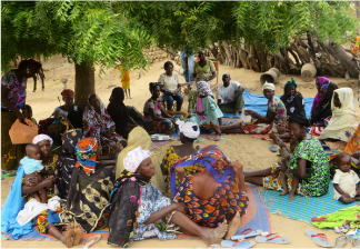 世界农用林业中心科学家制定牛角瓜纺织纤维采集计划与采集培训（西非马里）